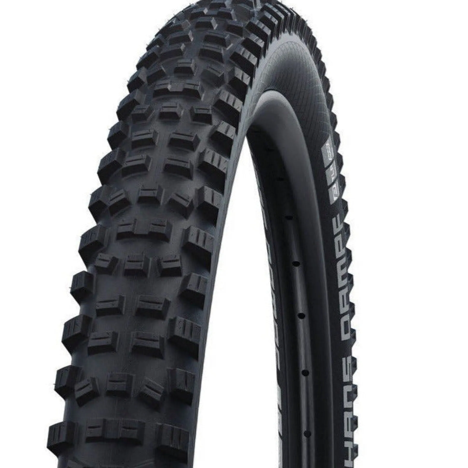 Copertone Schwalbe Hans Dampf TLR Addix Performance Line - 24x2.35