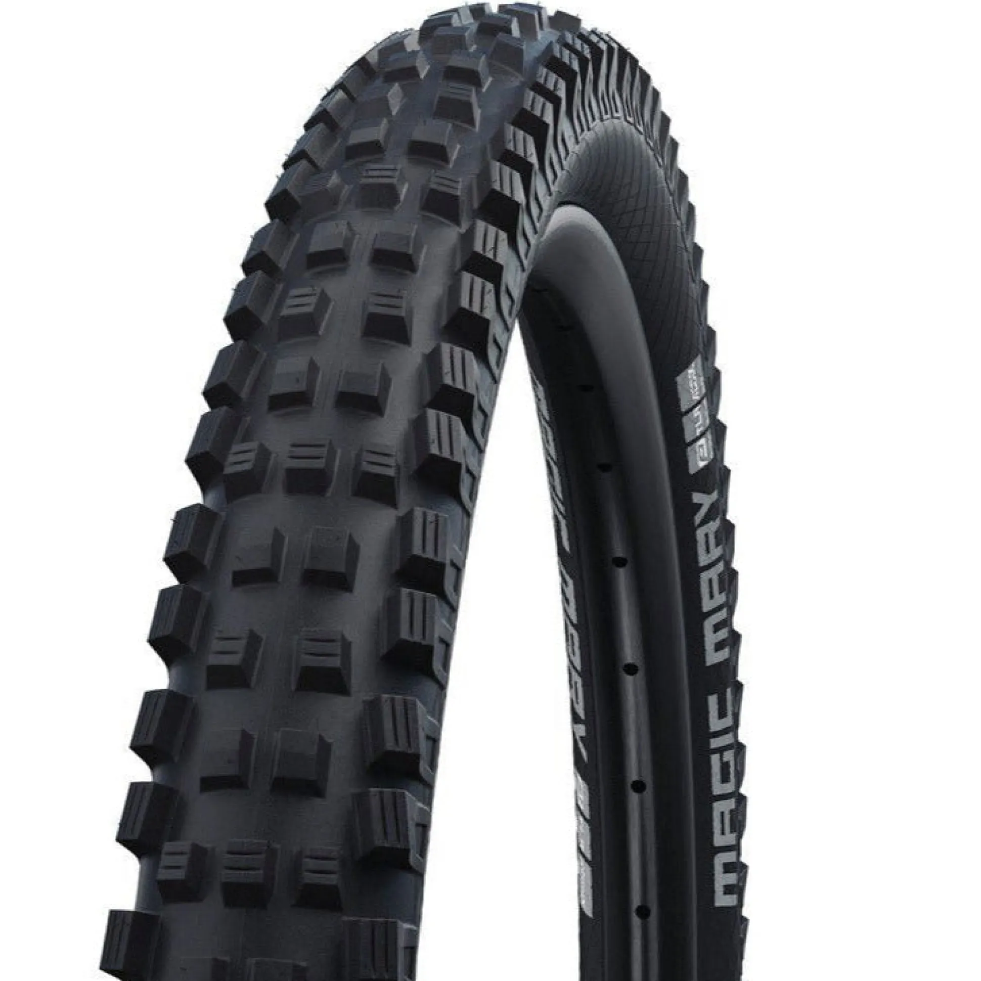 Copertone Schwalbe Magic Mary Performance TwinSkin TLR Addix - 27.5x2.40