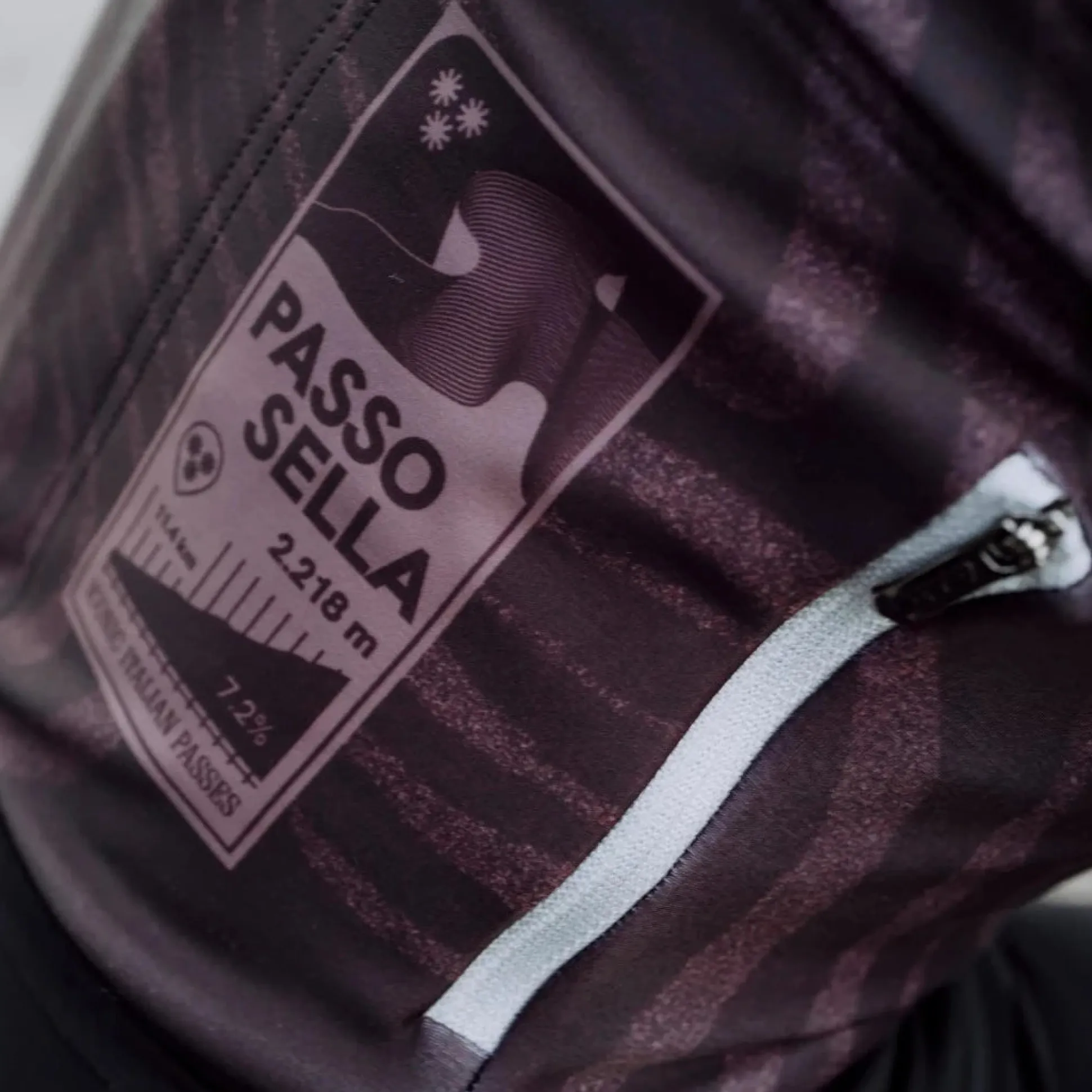 Maglia maniche lunghe Q36.5 Gregarius Hybrid Dolomiti - Marrone
