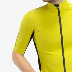 Maglia Pinarello Dogma Winter - Verde