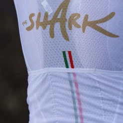 Maglia Q36.5 Gregarius Clima Nibali - Olympic