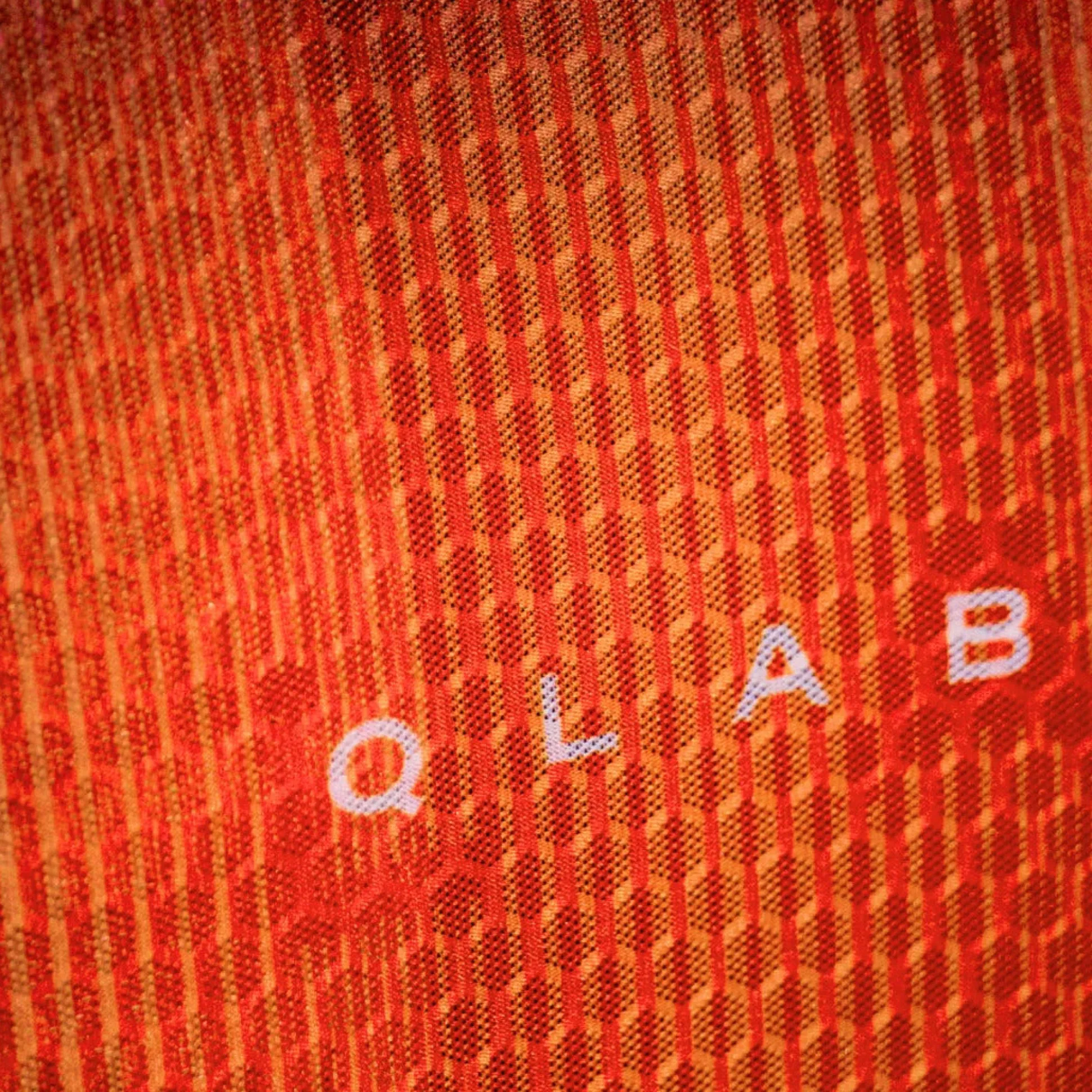 Maglia Q36.5 Gregarius Clima QLAB - Rosso