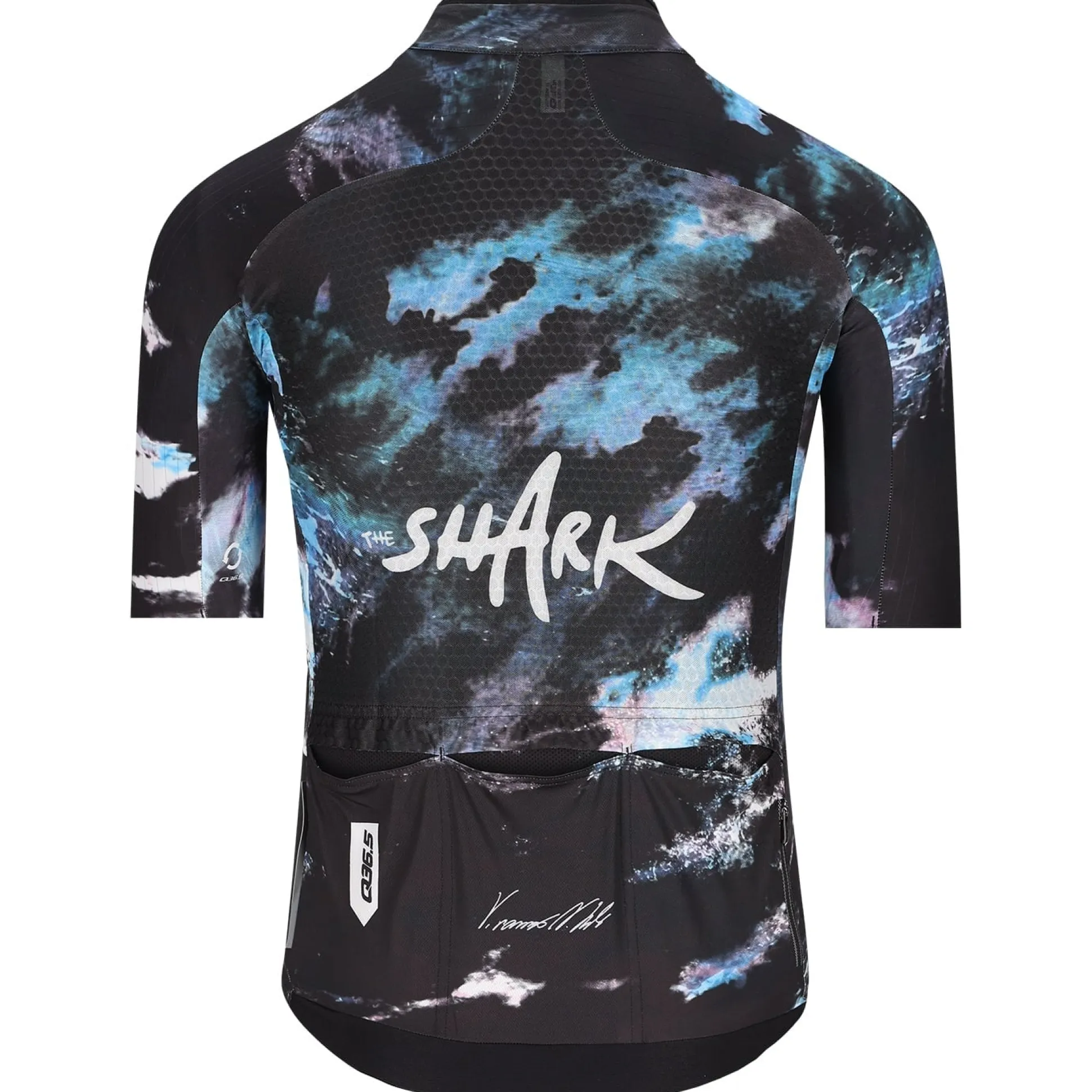 Maglia Q36.5 Gregarius Pro Nibali - Ocean
