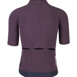 Maglia Q36.5 Pinstripe Pro - Bordeaux