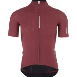Maglia Q36.5 Pinstripe Pro - Rosso scuro
