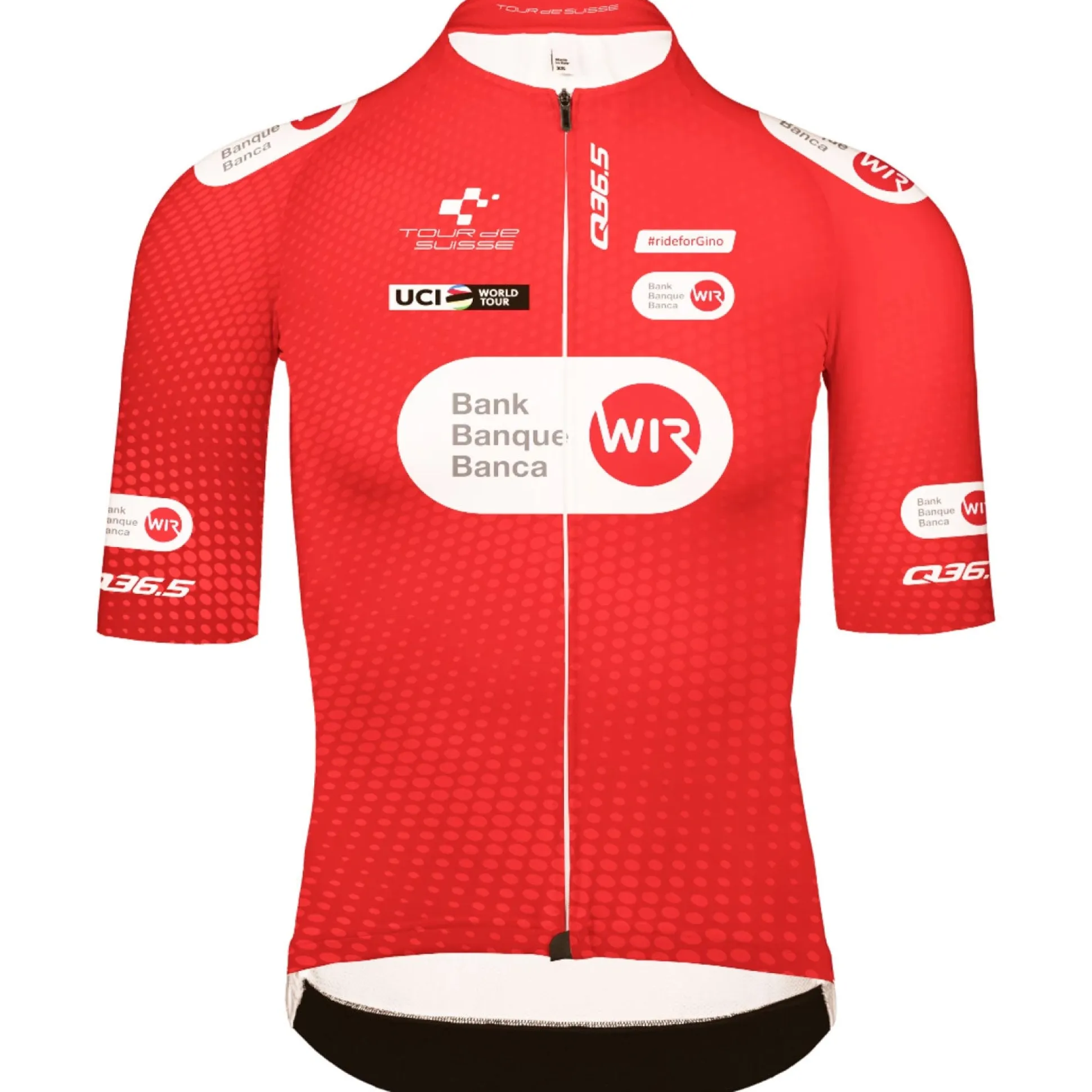 Maglia Q36.5 Tour de Suisse 2025 Gregarius Pro - Climber