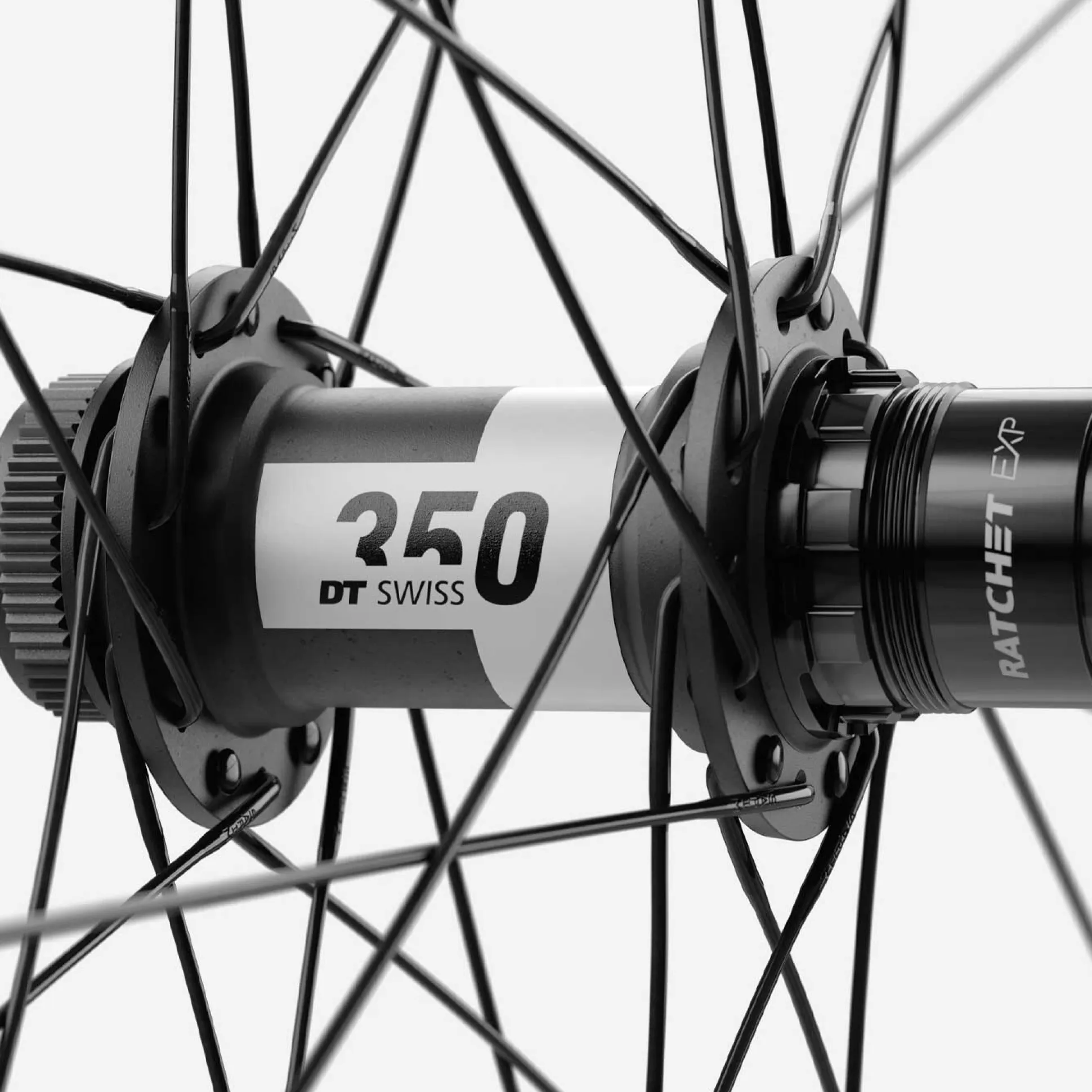 Ruote Oquo MP30TEAM Sram XD - Nero