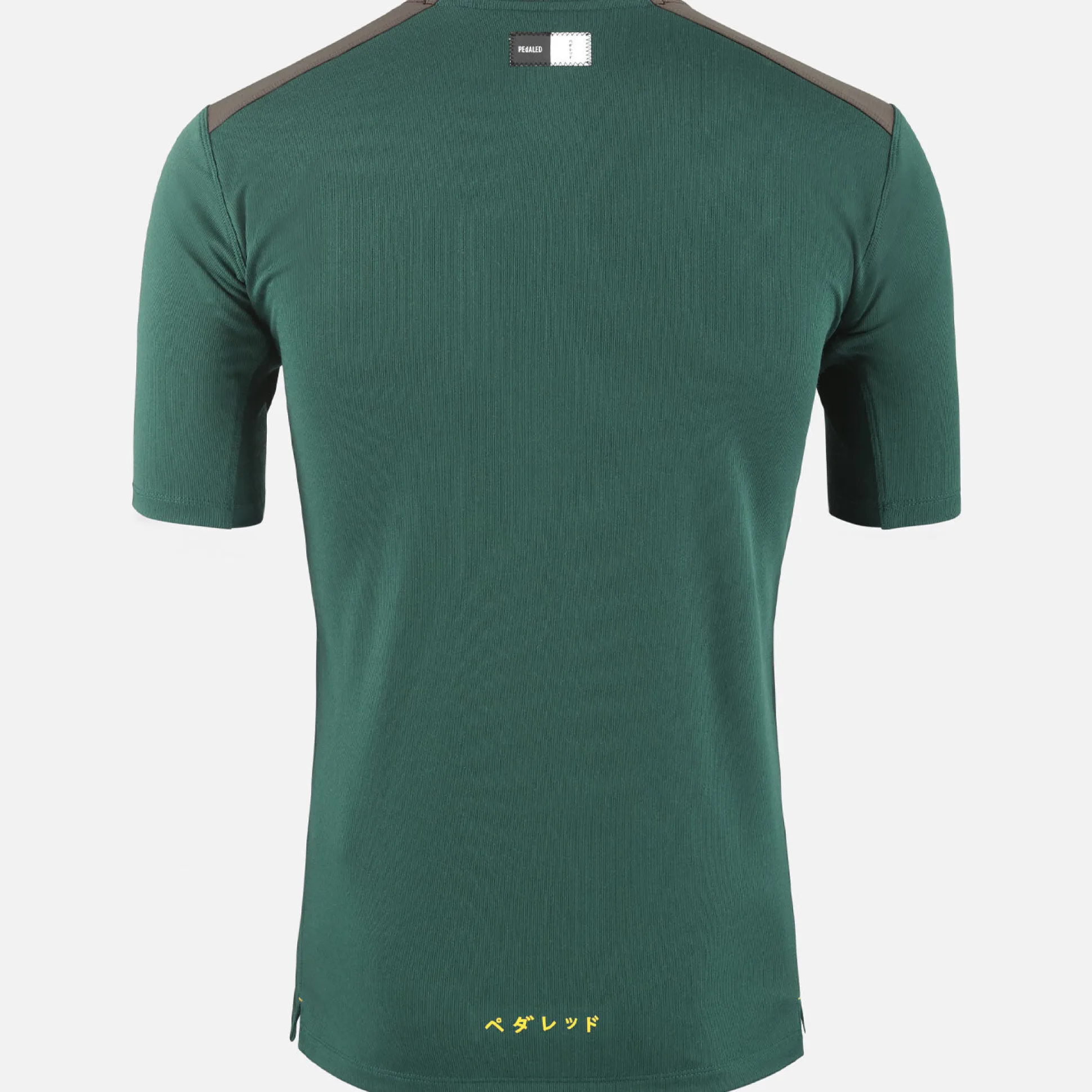 T-Shirt Pedaled Odyssey Merino - Verde